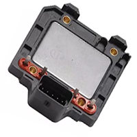 Auto Ignition Module