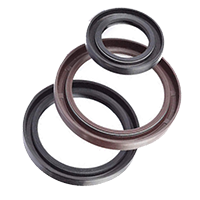 Rotary Seals