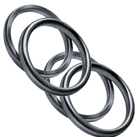 Ring Gasket