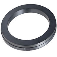 Carbide Seals