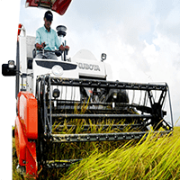 Paddy Harvester