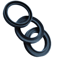 PTFE Seals