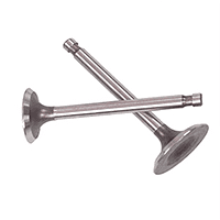 Three wheeler engine valve