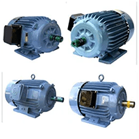 Crane Hoist Duty Motor