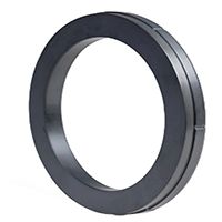 Silicon Carbide Seals