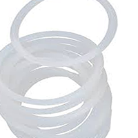 Silicon Seals