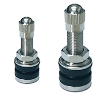 Tubeless Valve