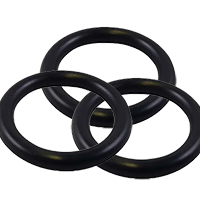 Neoprene O Ring