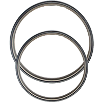 PTFE Rod Seal