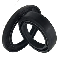 Rubber Lip Seal