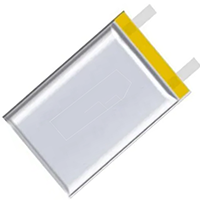 Lithium Polymer Battery