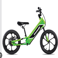 Electric Bicycle