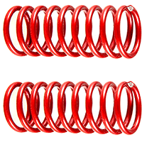 Precise Compression Spring