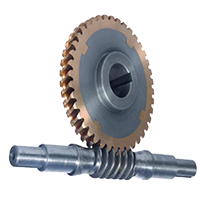 Worm Gears