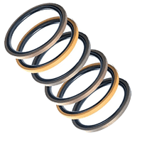 PTFE Piston Seal