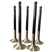 Engine Exhaust Valve