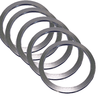 Stainless Steel Gaskets