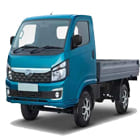 Intermediate and Light Commercial Vehicles