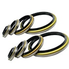 Wiper Seals