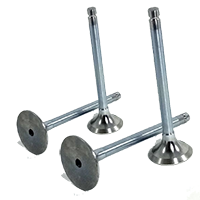 Inlet Valves
