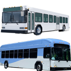 City Bus