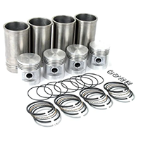 Engine Overhaul Kit