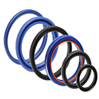 Rod Seals